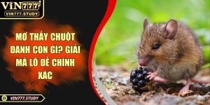 Mơ thấy chuột đánh con gì? Giải mã lô đề chính xác